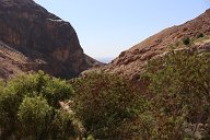 Ma'in 2021-07-18 007