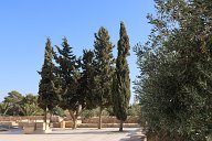 Mount Nebo 012