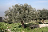 IMG_2583