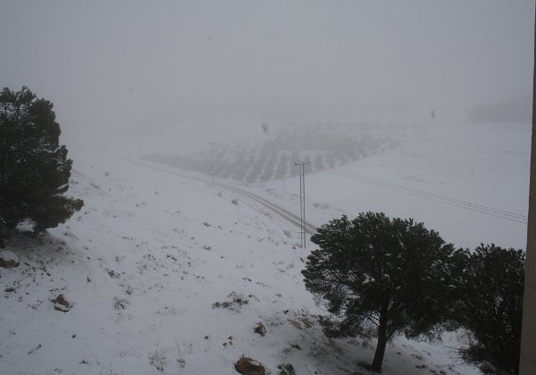 Amman